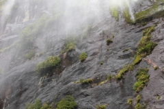 Milford Sounds