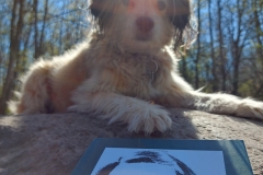 Rumo und das Buch...