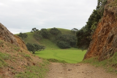 Mimiwhangata